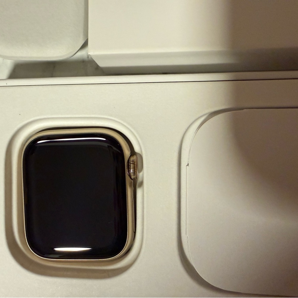 Apple Watch Series 8 41mm Stainless Steel Case